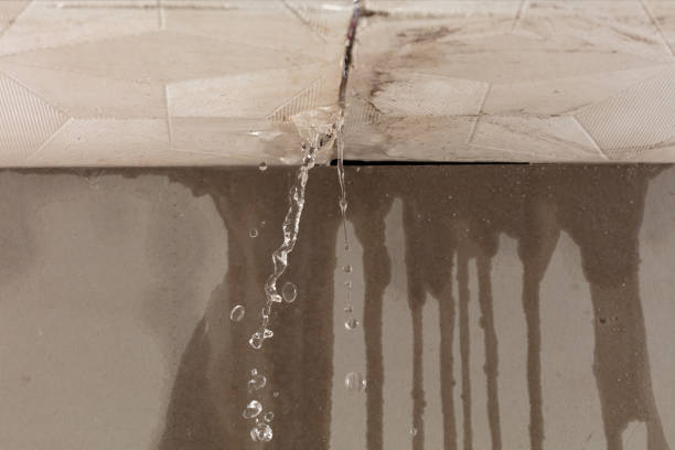 Professional Water Damage Repair technician working in Fairview, NY